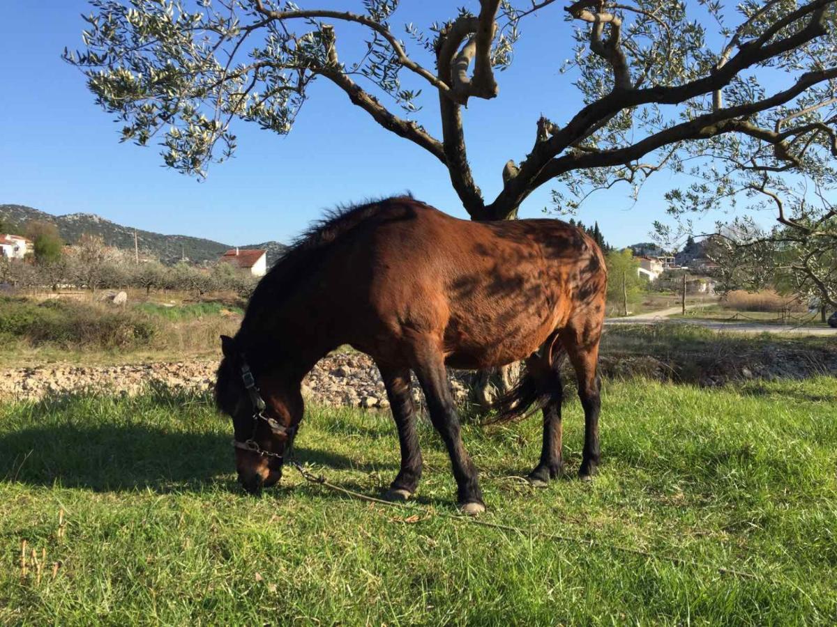 Peracko Blato Apartman Ella מראה חיצוני תמונה