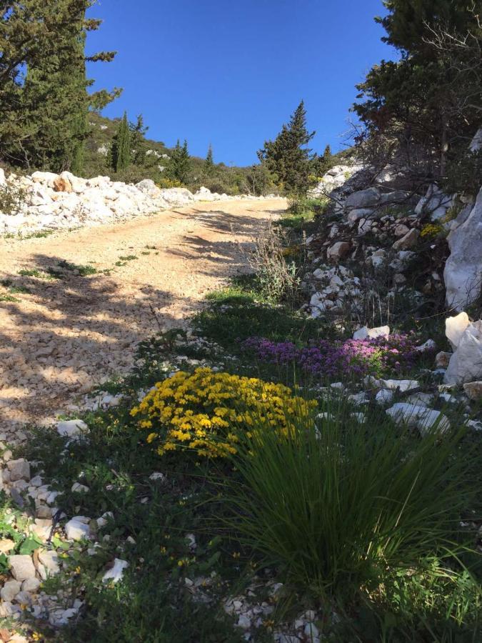 Peracko Blato Apartman Ella מראה חיצוני תמונה